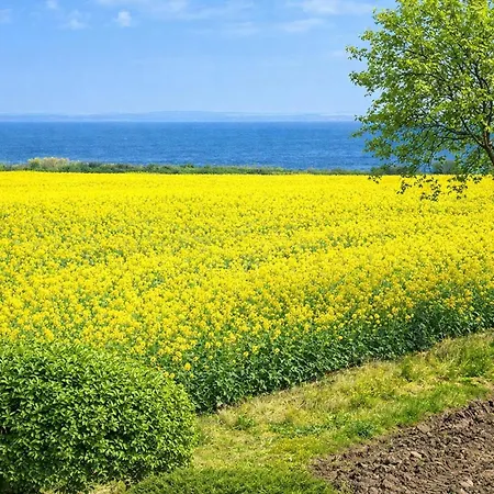 Lovely In With House Sea View Nordborg